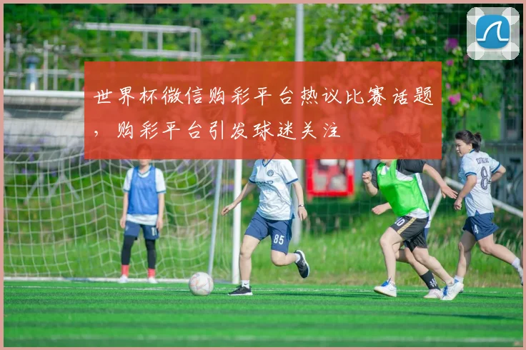 世界杯微信购彩平台热议比赛话题,购彩平台引发球迷关注