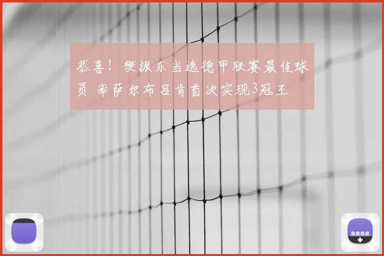 恭喜!樊振东当选德甲联赛最佳球员 率萨尔布吕肯首次实现3冠王
