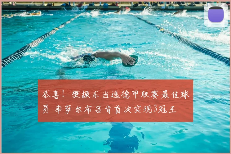 恭喜！樊振东当选德甲联赛最佳球员 率萨尔布吕肯首次实现3冠王
